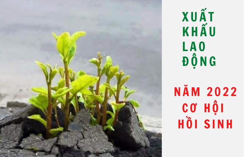 Xuất khẩu lao động năm 2022 cơ hội hồi sinh