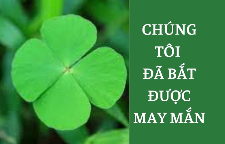 Chúng tôi đã bắt được may mắn