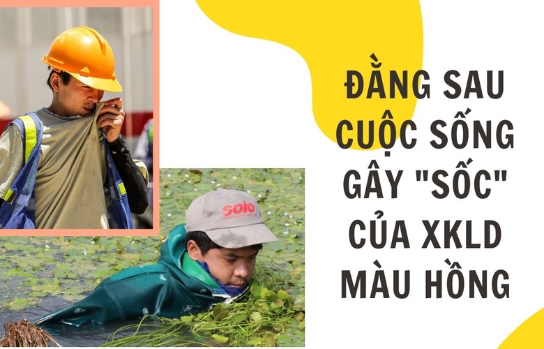 Đằng sau cuộc sống gây sốc của XKLD màu hồng