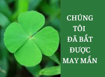 Chúng tôi đã bắt được may mắn