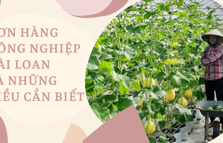 Thông tin về đơn hàng nông nghiệp Đài Loan năm 2022