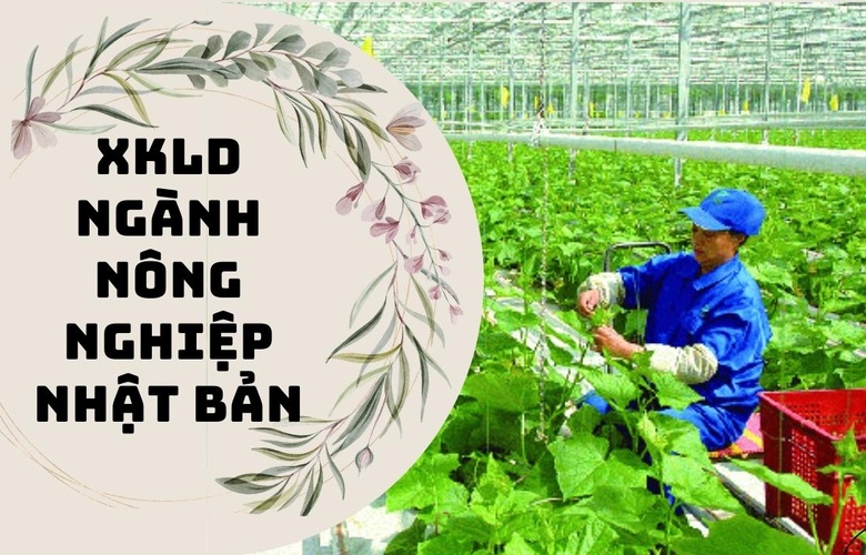 Xuất khẩu lao động ngành nông nghiệp Nhật Bản