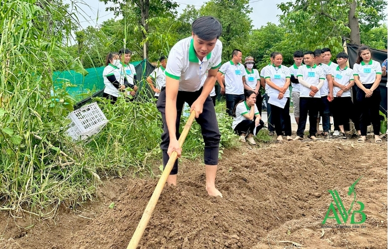 Tuyển Đơn Hàng Nông Nghiệp, Chăn Nuôi Đi Đài Loan 2025