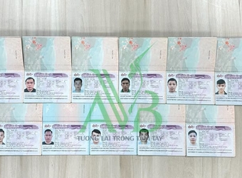 Hồ sơ đi xuất khẩu lao động Đài Loan gồm những gì? Hướng dẫn chi tiết