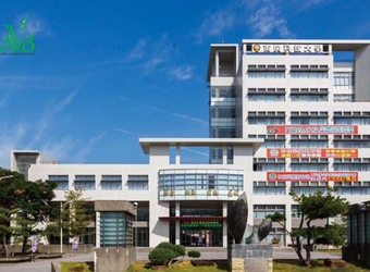 Giải Quyết Vấn Đề Visa Du Học Đài Loan Thiếu Bằng Tại Thị Trấn Cành Nàng