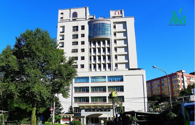 Du Học Đài Loan Nên Học Ngành Gì? Ngành Hot Cho Học Sinh Hạ Trung,Thanh Hóa