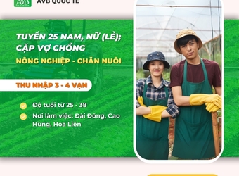 Việc làm Nông Nghiệp Đài Loan Tại Xã Cẩm Duệ – Việc Làm Ổn Định, Lương 25–30 Triệu/Tháng