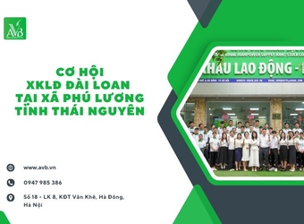 XKLĐ Đài Loan Tại Xã Phú Lương, Thái Nguyên – Lương Cao, Công Việc Ổn Định