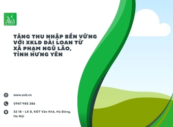 Tăng thu nhập bền vững với XKLĐ Đài Loan từ xã Phạm Ngũ Lão, Tỉnh Hưng Yên