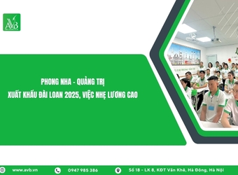 Phong Nha – Quảng Trị: Xuất khẩu Đài Loan 2025, việc nhẹ lương cao
