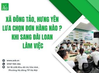 Xã Đông Tảo, Hưng Yên lưa chọn đơn hàng nào? khi sang Đài Loan làm việc