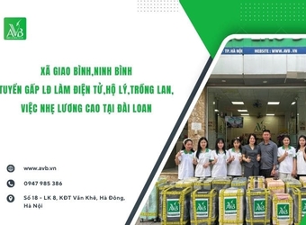 Xã Giao Bình Ninh Bình tuyển gấp LĐ hộ lý,điện tử,trồng lan việc nhẹ lương cao