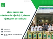 Xã Giao Bình Ninh Bình tuyển gấp LĐ hộ lý,điện tử,trồng lan việc nhẹ lương cao