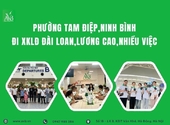 Phường Tam Điệp,Ninh Bình đi xuất khẩu lao động Đài Loan lương cao,nhiều việc