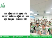 Lao động xã Lợi Bác, Lạng Sơn đi XKLĐ Đài Loan, Việc ổn định, thu nhập tốt