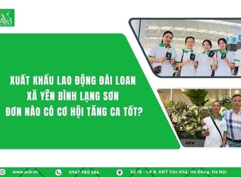 Xuất khẩu LĐ Đài Loan xã Yên Bình, Lạng Sơn, đơn nào có cơ hội tăng ca tốt?