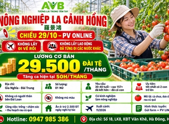 Nông nghiệp La Cảnh Hồng tuyển nữ tại Đài Loan - xã Mường Sại, Sơn La 2026