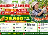Nông nghiệp La Cảnh Hồng tuyển nữ tại Đài Loan - xã Mường Sại, Sơn La 2026