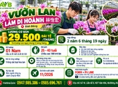 Vườn lan Lâm Di Hoành tuyển nam tại Bình Đông: xã Mường Khiêng, Sơn La 2026