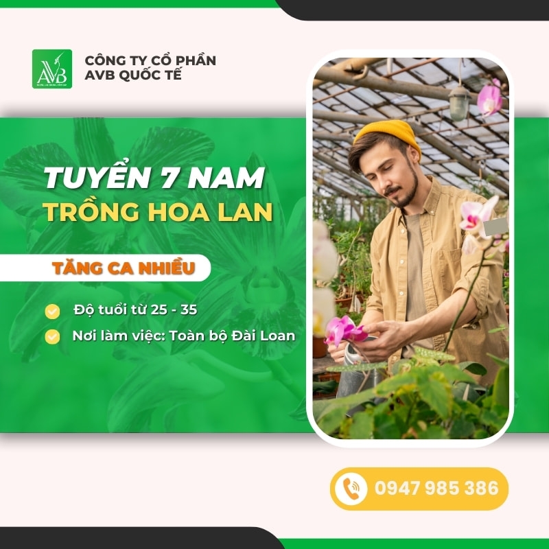 TUYỂN 7 NAM TRỒNG HOA TẠI CHƯƠNG HÓA ĐÀI TRUNG