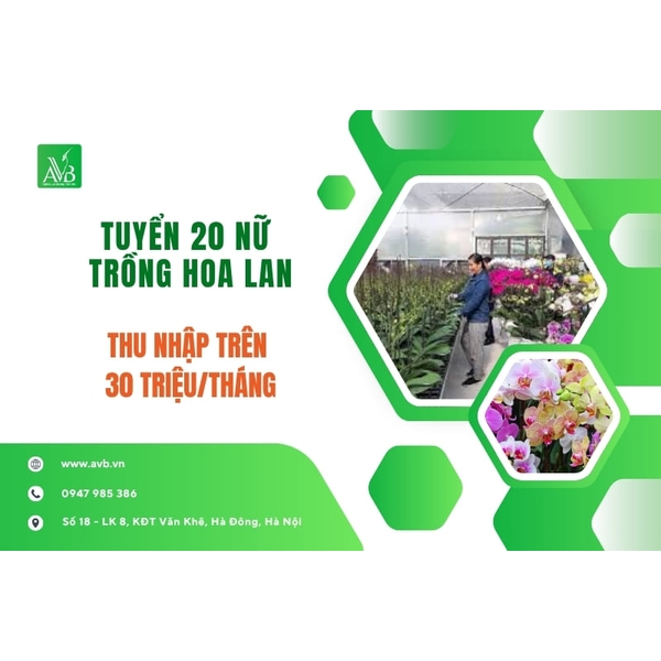 TUYỂN 20 NỮ TRỒNG HOA LAN