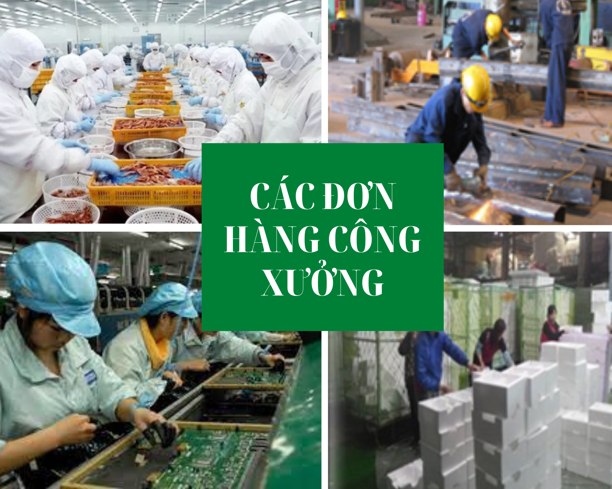 Những ngành nghề tiếp nhận người lao động Việt Nam sang Đài Loan làm việc