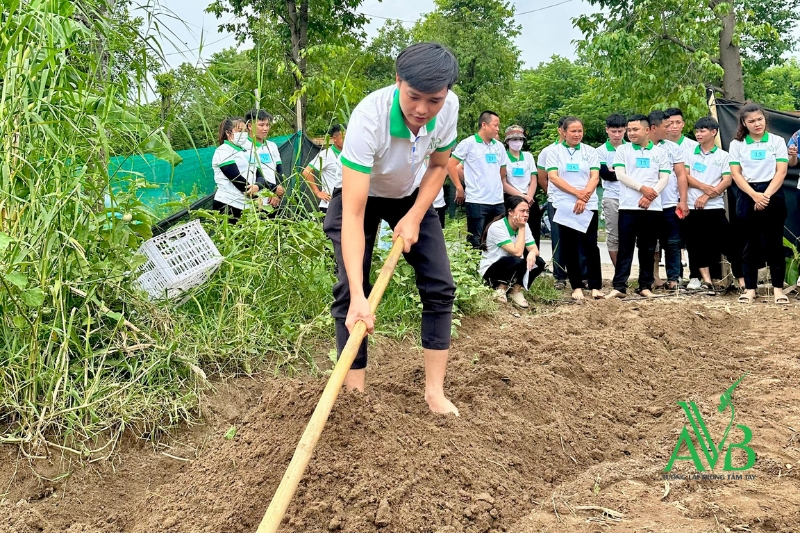 Người lao động thi tuyển đơn hàng nông nghiệp