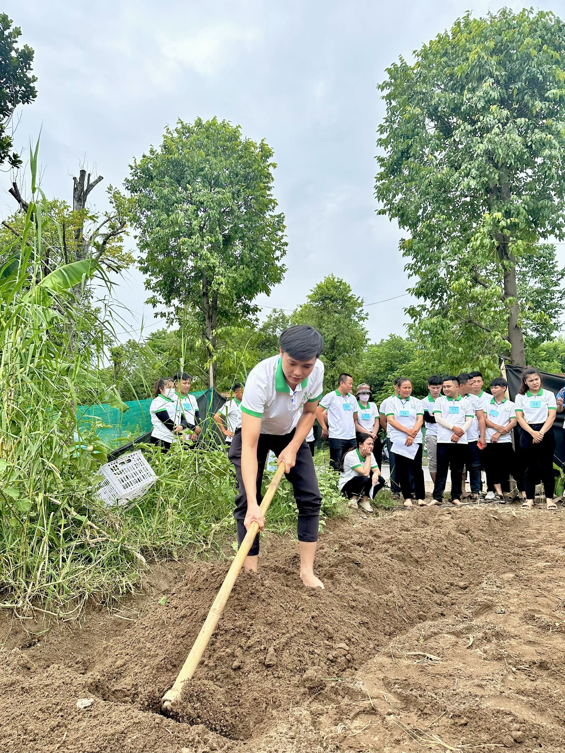 lao động thi tuyển đơn nông nghiệp