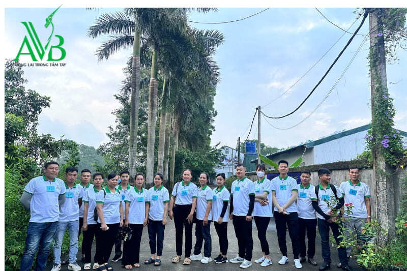 xkld đài loan