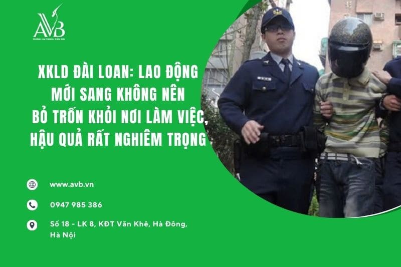 xkld đài loan uy tín