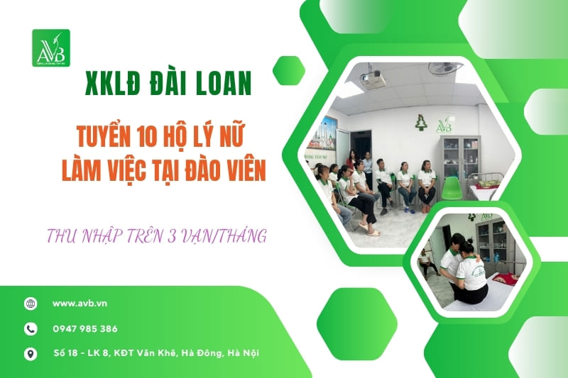 tư vấn xuất khẩu lao động